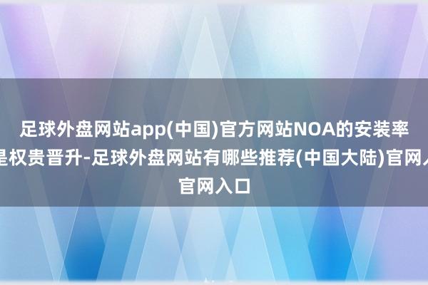 足球外盘网站app(中国)官方网站NOA的安装率更是权贵晋升-足球外盘网站有哪些推荐(中国大陆)官网入口