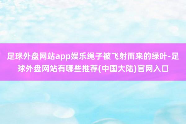 足球外盘网站app娱乐绳子被飞射而来的绿叶-足球外盘网站有哪些推荐(中国大陆)官网入口