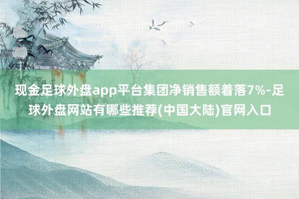 现金足球外盘app平台集团净销售额着落7%-足球外盘网站有哪些推荐(中国大陆)官网入口