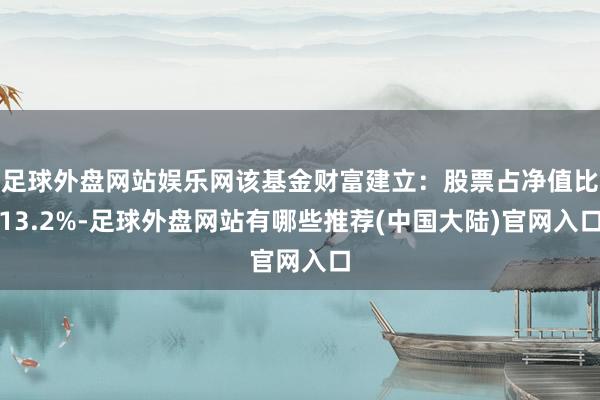 足球外盘网站娱乐网该基金财富建立：股票占净值比13.2%-足球外盘网站有哪些推荐(中国大陆)官网入口