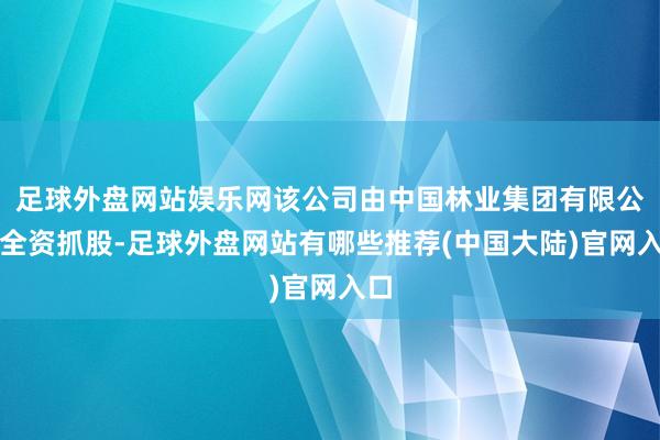 足球外盘网站娱乐网该公司由中国林业集团有限公司全资抓股-足球外盘网站有哪些推荐(中国大陆)官网入口