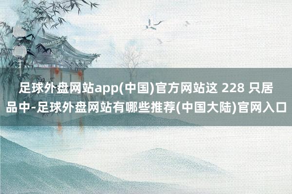 足球外盘网站app(中国)官方网站这 228 只居品中-足球外盘网站有哪些推荐(中国大陆)官网入口